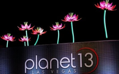 Introducing "Planet the 13th Night Market" a New Monthly Indoor Art and Makers Market Kicking-off August 13, 2025, at the Planet 13 Entertainment Complex