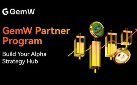 GemW Launches Partner Program: Empowering Creators with Alpha Strategies and Long-Term Value