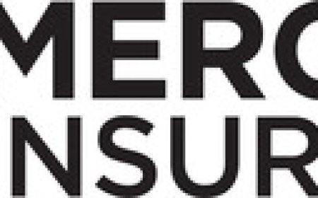 Mercury Insurance Creates a New Vibe for Texas Music Fans at Dos Equis Pavilion