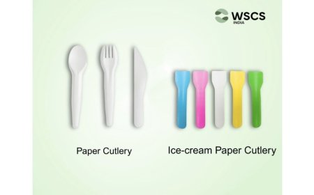WSCS India Registers Rapid Growth in Paper Cutlery Segment as Demand for Sustainable Packaging Rises